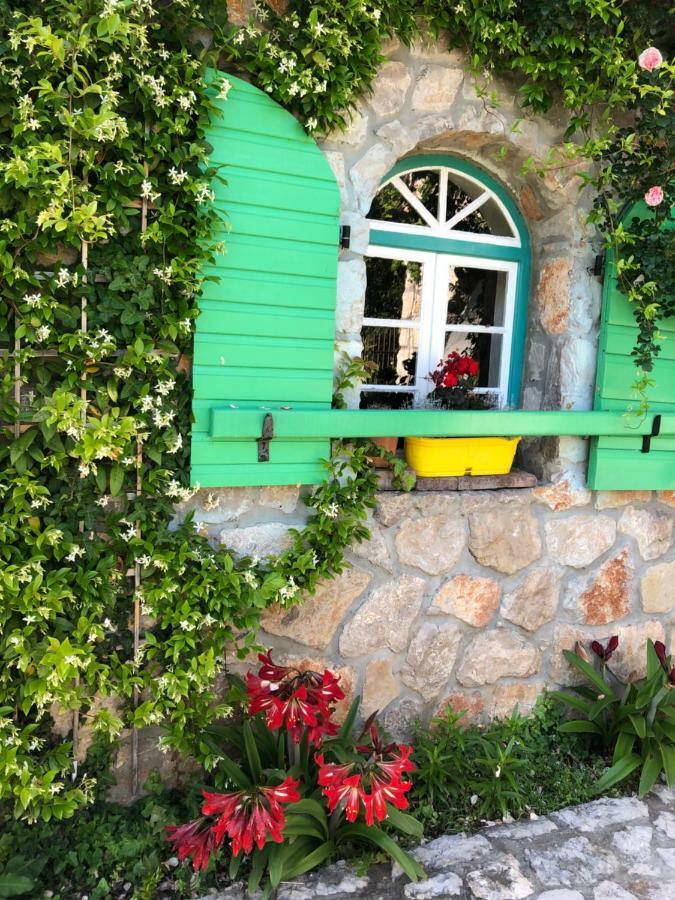 Lake House Puro Dodosi Exterior foto